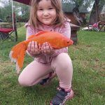 Pescar Amator Balta Mircea Remetea Chioarului