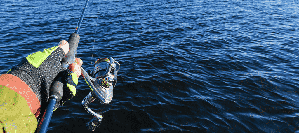 Afectează conditiile meteo pescuitul? Afectează conditiile meteo pescuitul?