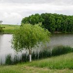 Pescar Amator Balta Cămineasca