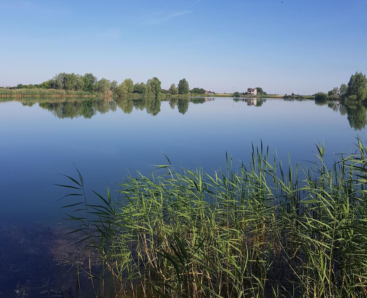 Balta Icoana Balta Icoana