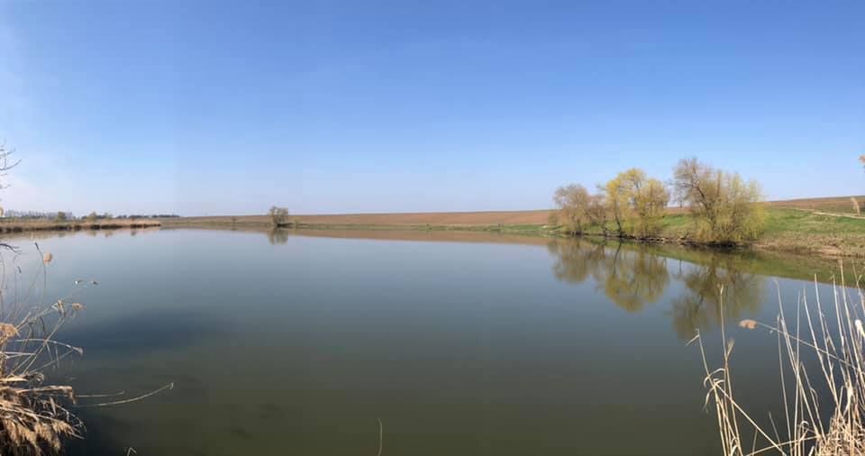 Balta Pasarea 3 Frumusani