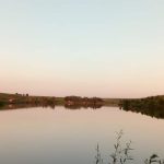 Balta Puțu Greci - Ovidiu