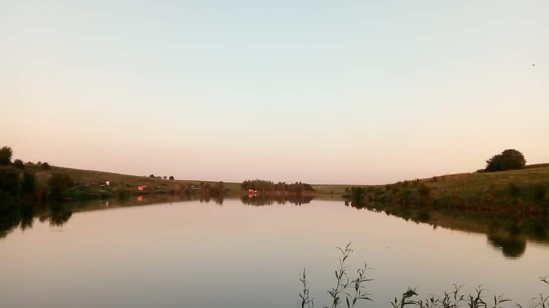 Balta Puțu Greci - Ovidiu Balta Puțu Greci - Ovidiu