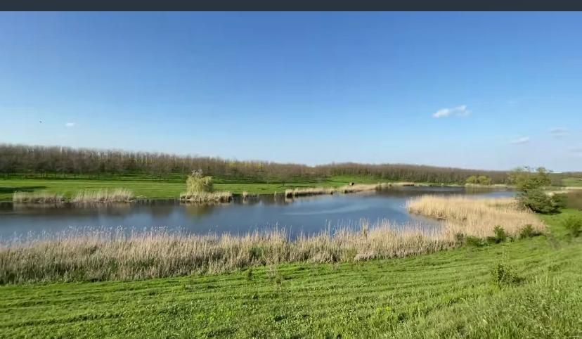 Balta La Iuly Balta La Iuly