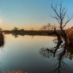 Brațul Mort al Râului Mureș Brațul Mort al Râului Mureș