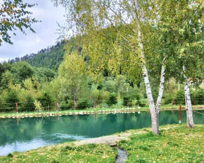 Pescar Amator Iazul din Vama