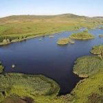 Balta Faragau (Radu, Victor, Toldal, Bala)