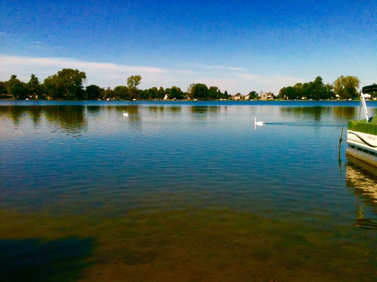 Pescar Amator Specii de pesti in apele din Romania