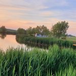 Balta Valea Liliecilor Balta Valea Liliecilor