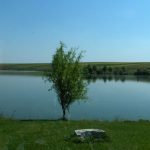 Baltile Belciugatele 1 si 3