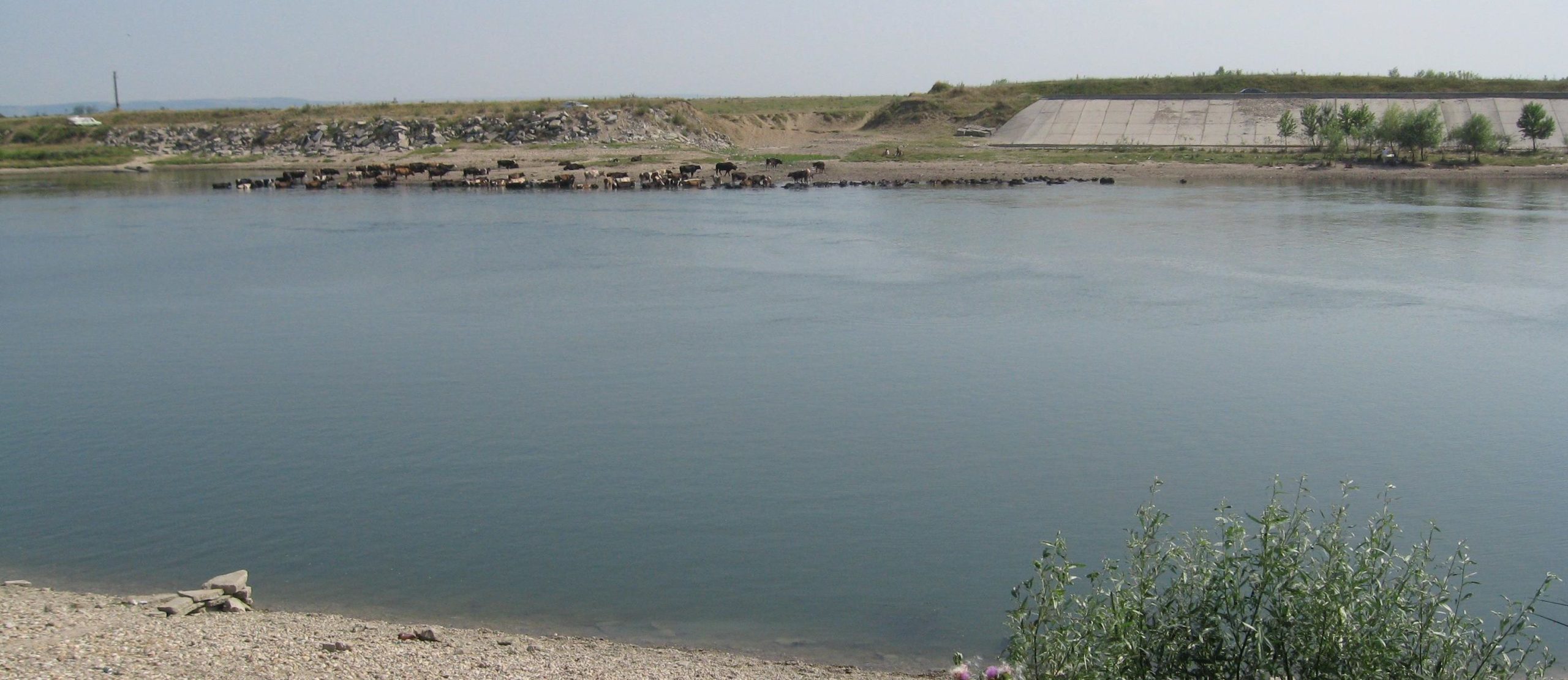 Barajul Avrig (Raul Olt) Barajul Avrig (Raul Olt)