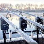 Pescar Amator Specii de pești active iarna Pescar Amator Specii de pești active iarna